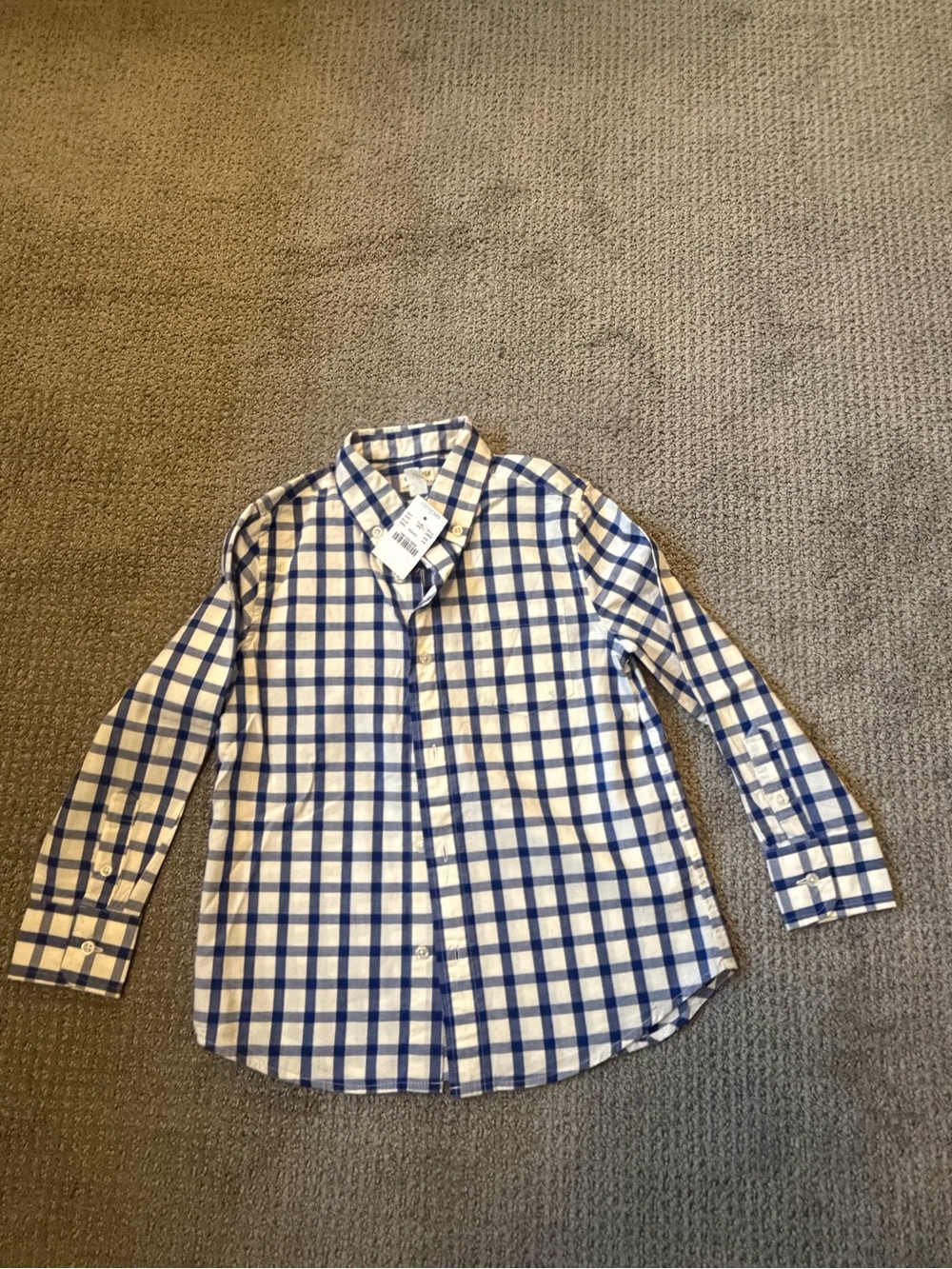 Crewcuts Outlet Boys Blue and White Check Button-Down Shirt